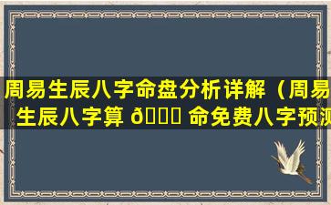 周易生辰八字命盘分析详解（周易生辰八字算 🐒 命免费八字预测 🐱 ）